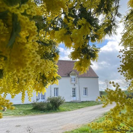 فيلا Les Mimosas Gracay المظهر الخارجي الصورة
